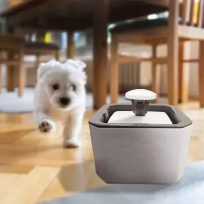 Dispensador automático de agua para mascotas: La solución perfecta para hidratación saludable