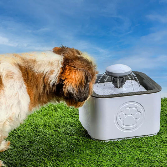 Dispensador automático de agua para mascotas: La solución perfecta para hidratación saludable